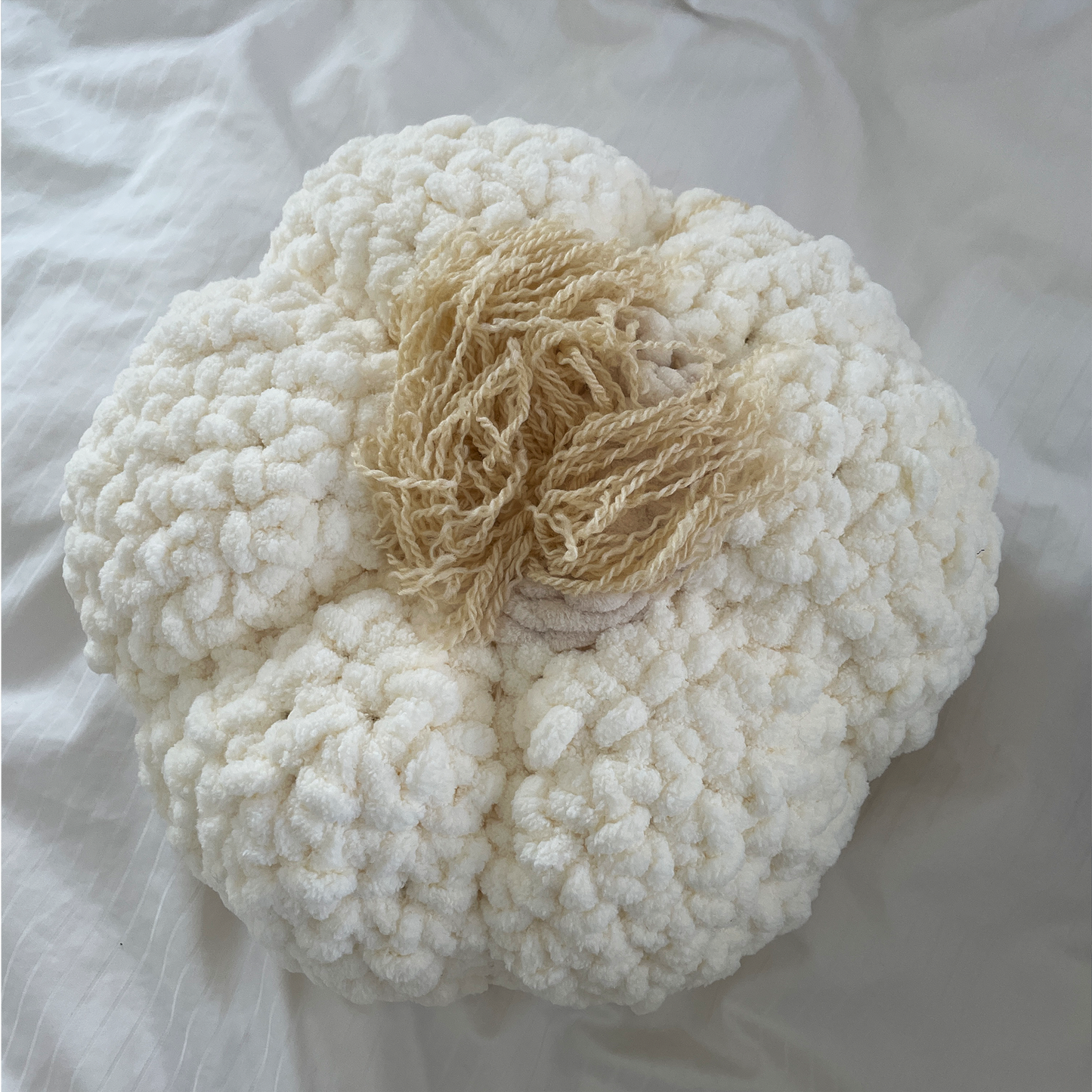DIGITAL FILE ONLY Crochet Garlic Bag Throw Pillow PDF Pattern
