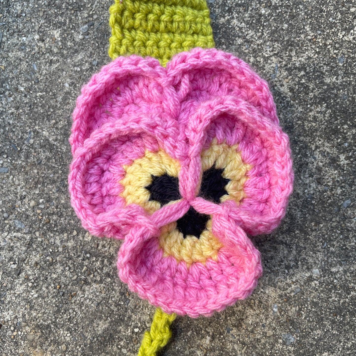 Pansymuffs Bubblegum