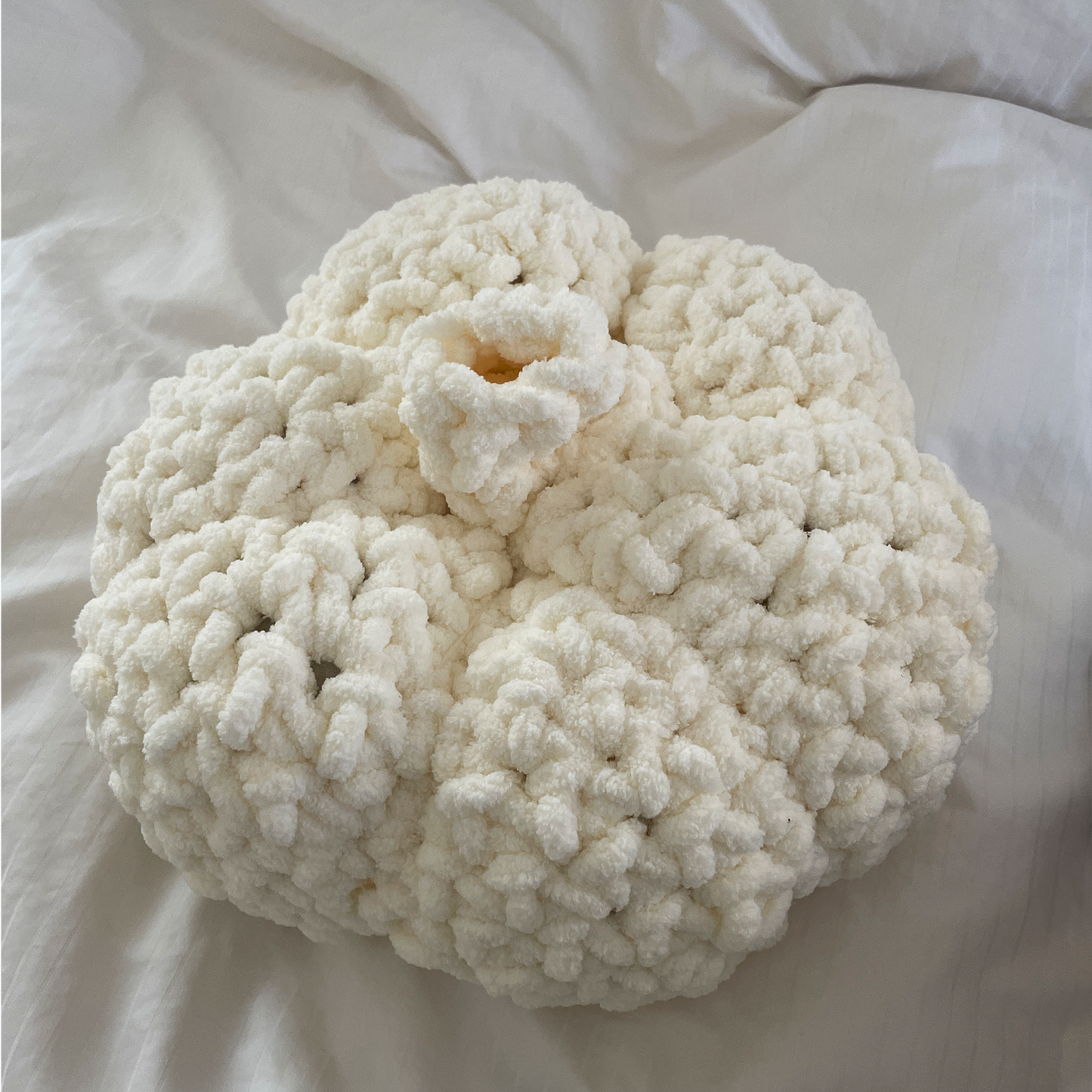 DIGITAL FILE ONLY Crochet Garlic Bag Throw Pillow PDF Pattern