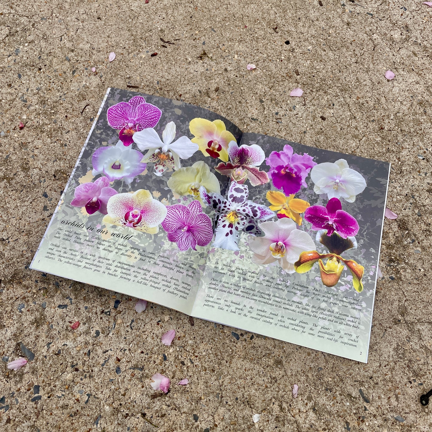 Orchid Purse Pattern - PHYSICAL MAGAZINE