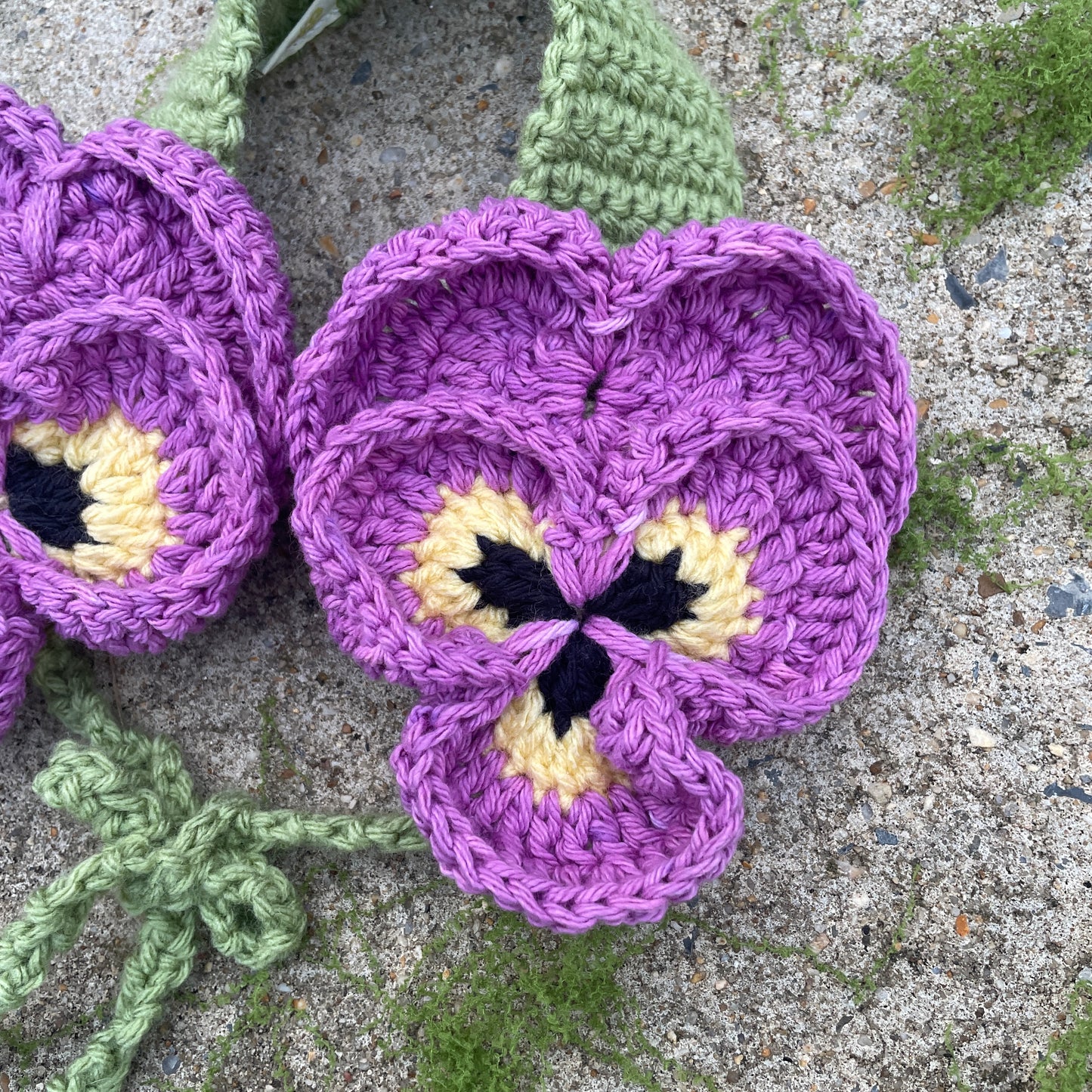Pansymuffs "Iris"