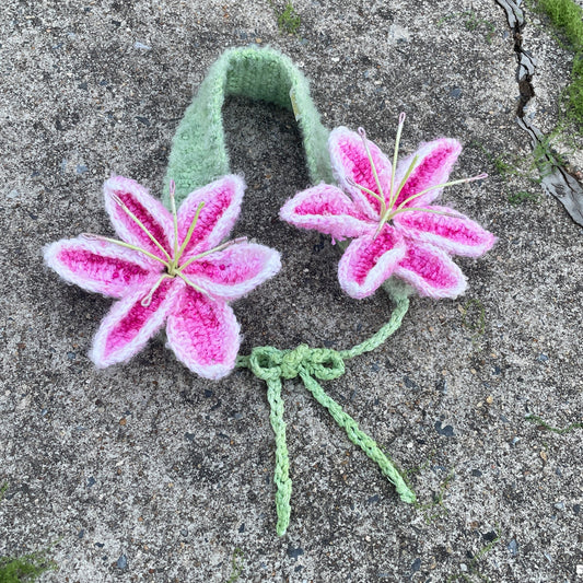 Lilymuffs "Stargazer"