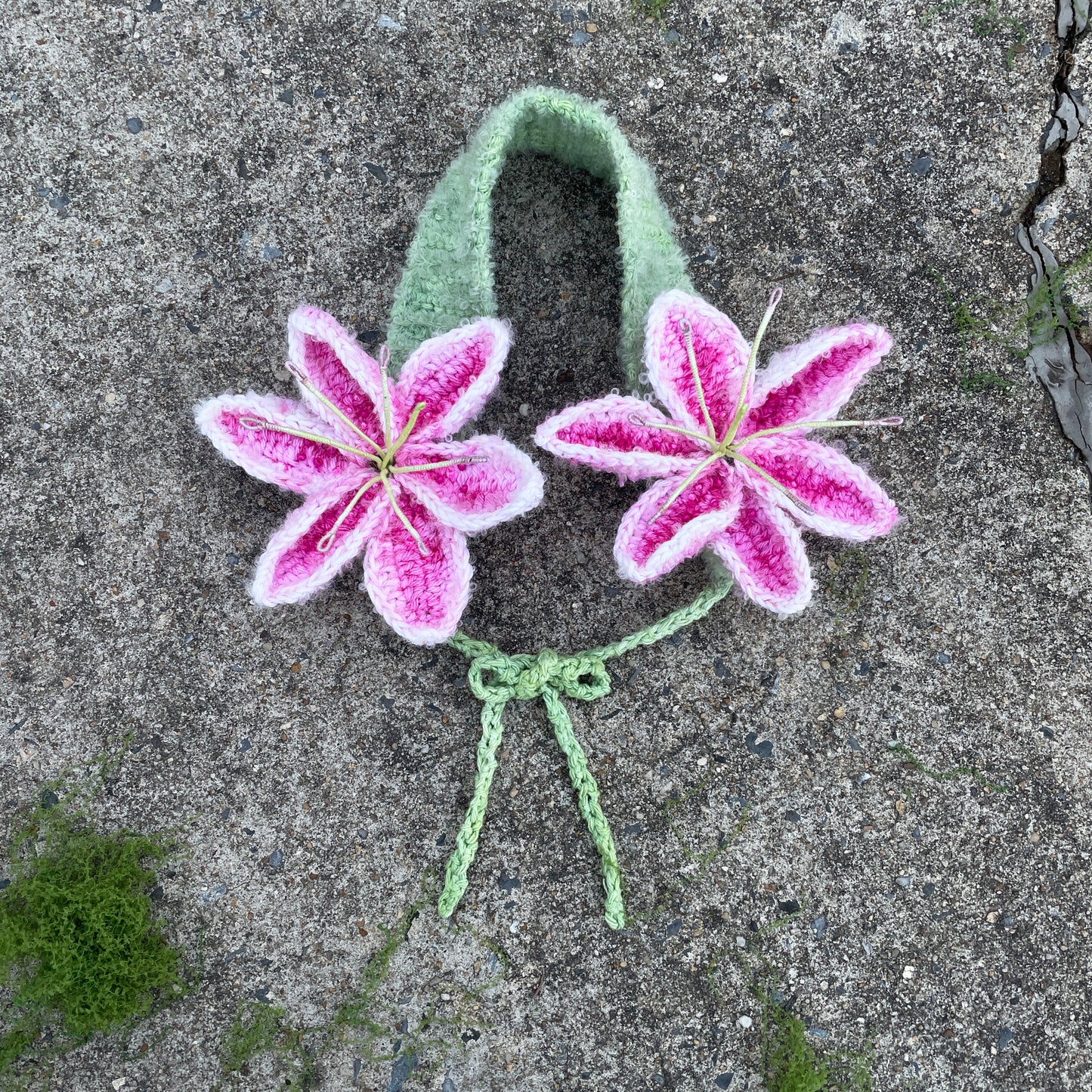 Lilymuffs "Stargazer"