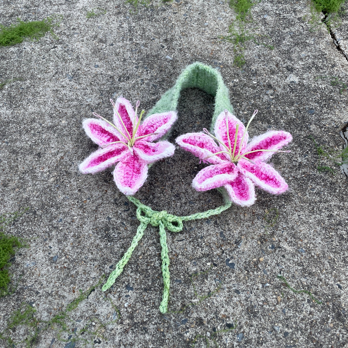 Lilymuffs "Stargazer"